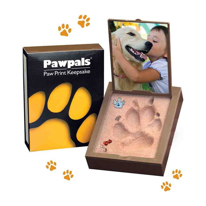 Paw Print Kit - Honor Your Pet Memorial Products - Better Than