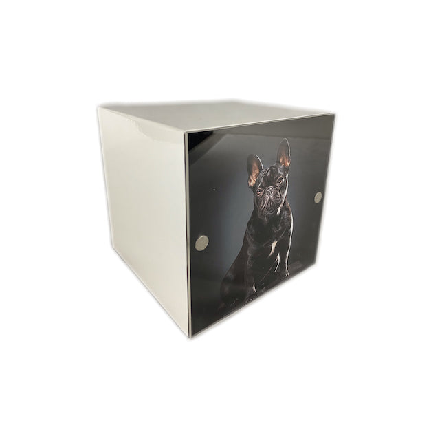 Pet Cubo
